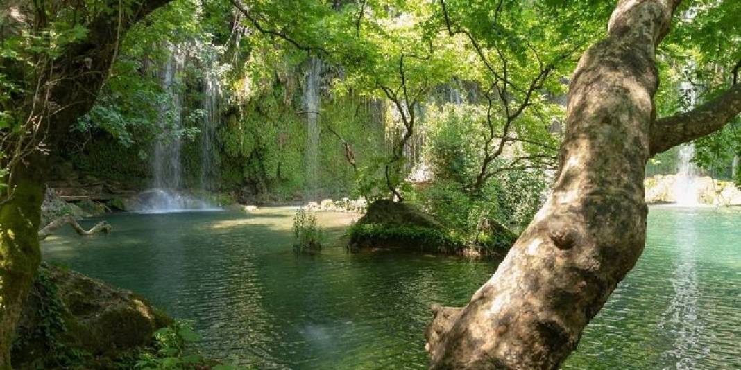Serinlik, sessizlik ve su sesi! İster günübirlik ister kamp için… Burası huzuru arayanları bekliyor! 5